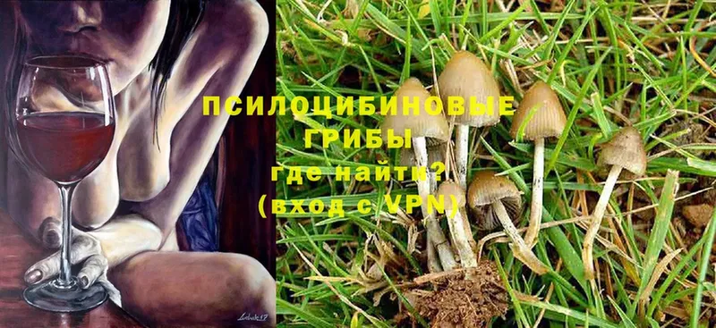 Псилоцибиновые грибы MAGIC MUSHROOMS  сайты даркнета формула  Скопин 